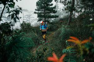 BIB: 
                            <button type="button" onclick="openModal(25257748)" class="btn btn-primary btn-sm float-right btn-popup" data-toggle="modal" data-target=".modal-high-quality">
                        <i class="fas fa-shopping-cart"></i> Add to Cart
                    </button>
                                            <button type="button" onclick="isThisMe(25257748, true)" class="btn btn-success btn-sm float-right btn-popup btn-isme hidden" data-toggle="tooltip" data-placement="bottom" title="นี่คือรูปของคุณใช่ไหม คลิกที่นี่เพื่อเอาเข้าอัลบั้ม">
                        <i class="fas fa-plus"></i> Add to album
                    </button>
                    <button type="button" onclick="isThisMe(25257748, false)" class="btn btn-warning btn-sm float-right btn-popup btn-isnotme hidden">
                        <i class="fas fa-ban"></i> Remove from album
                    </button>